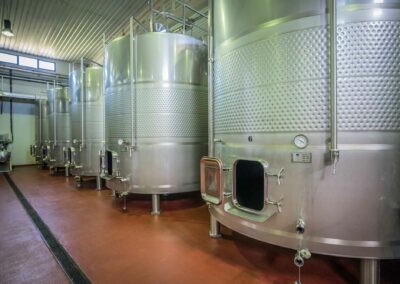 Proceso vinícola. Bodegas Amaró