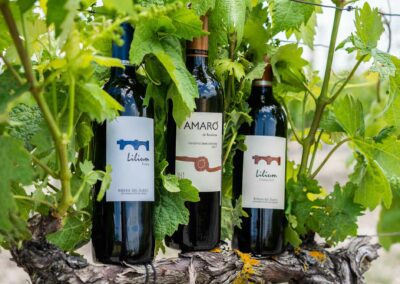 Carrito de compras de la tienda online de Bodegas Amaró