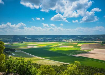 Campos Ribera de Duero. Bodegas Amaró