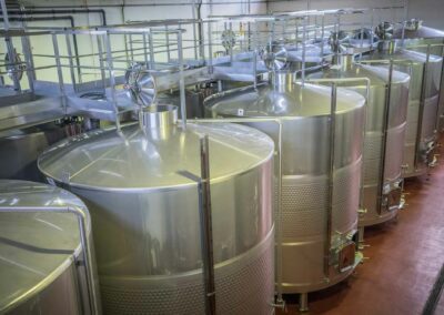 Proceso vinícola. Bodegas Amaró